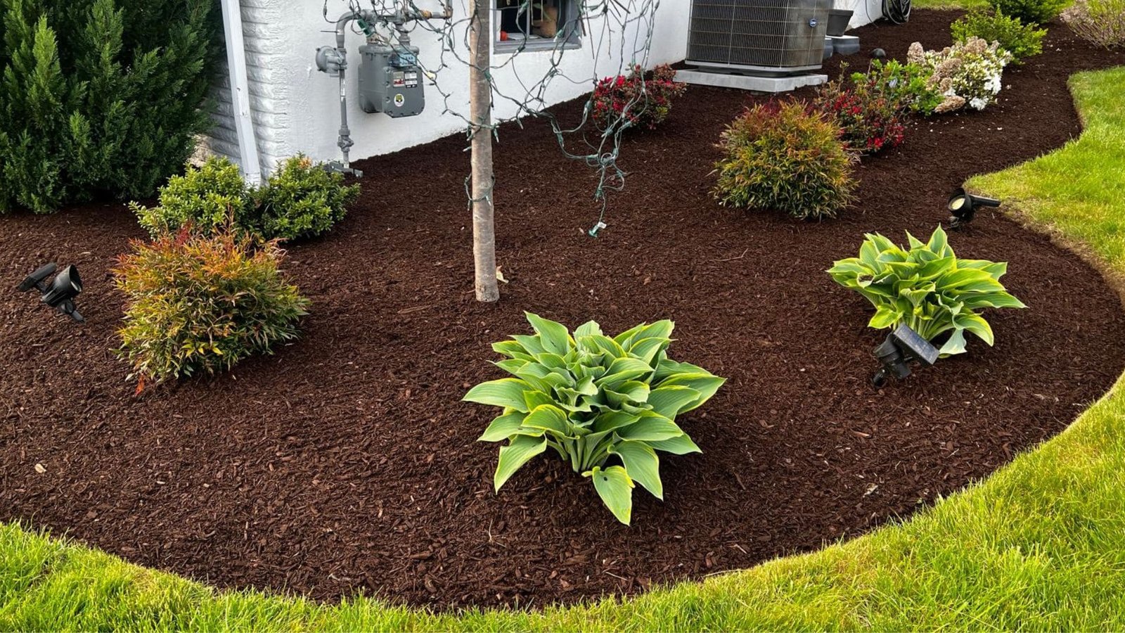 Mulching and planting installation service in Connecticut by M&G Landscaping & Lawn Care LLC, creating healthy and well-designed landscape beds.