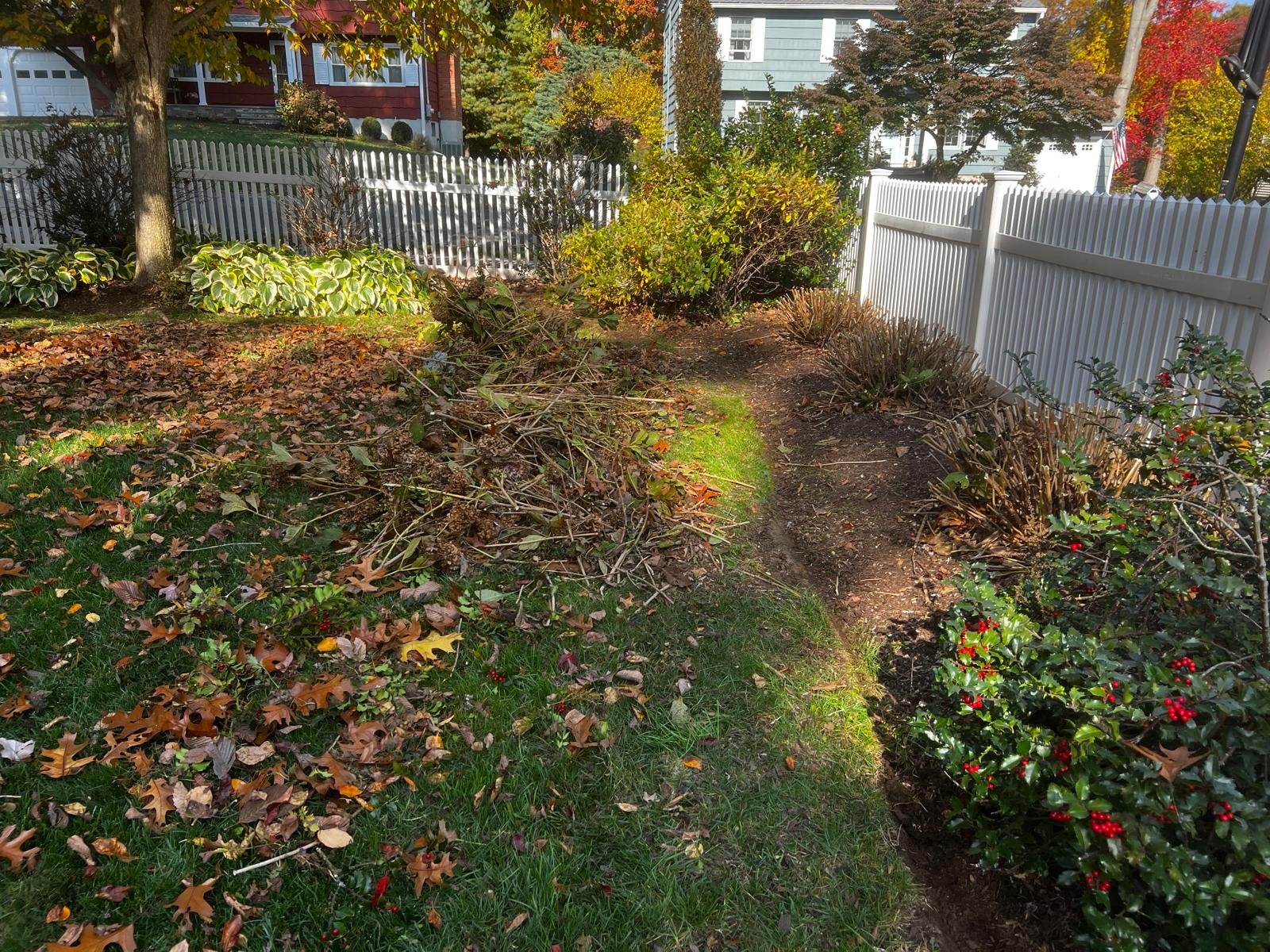 Fall cleanup service in Connecticut by M&G Landscaping & Lawn Care LLC, including leaf removal and seasonal yard cleanup.