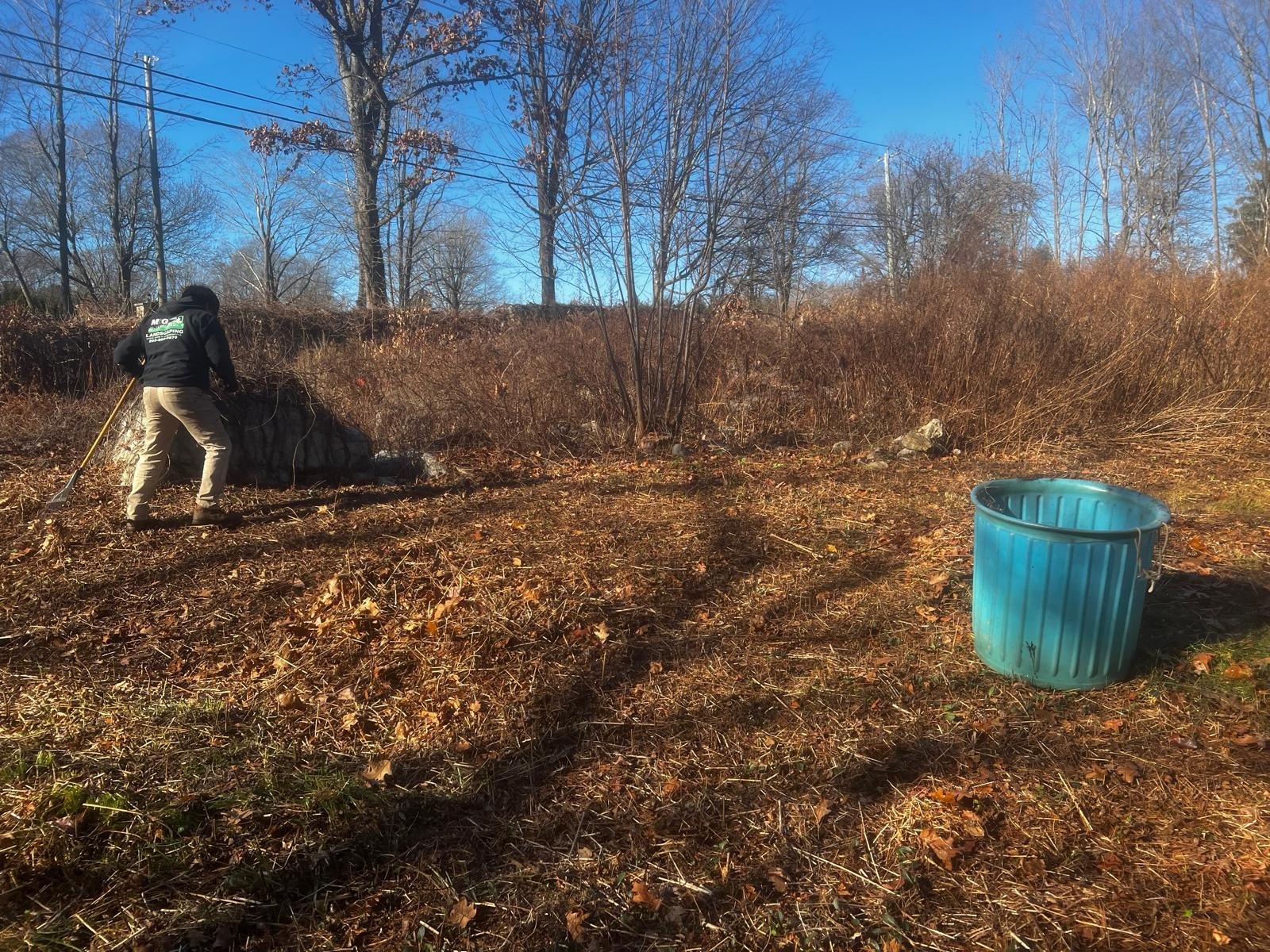 Fall cleanup service in Connecticut by M&G Landscaping & Lawn Care LLC, including leaf removal and seasonal yard cleanup.