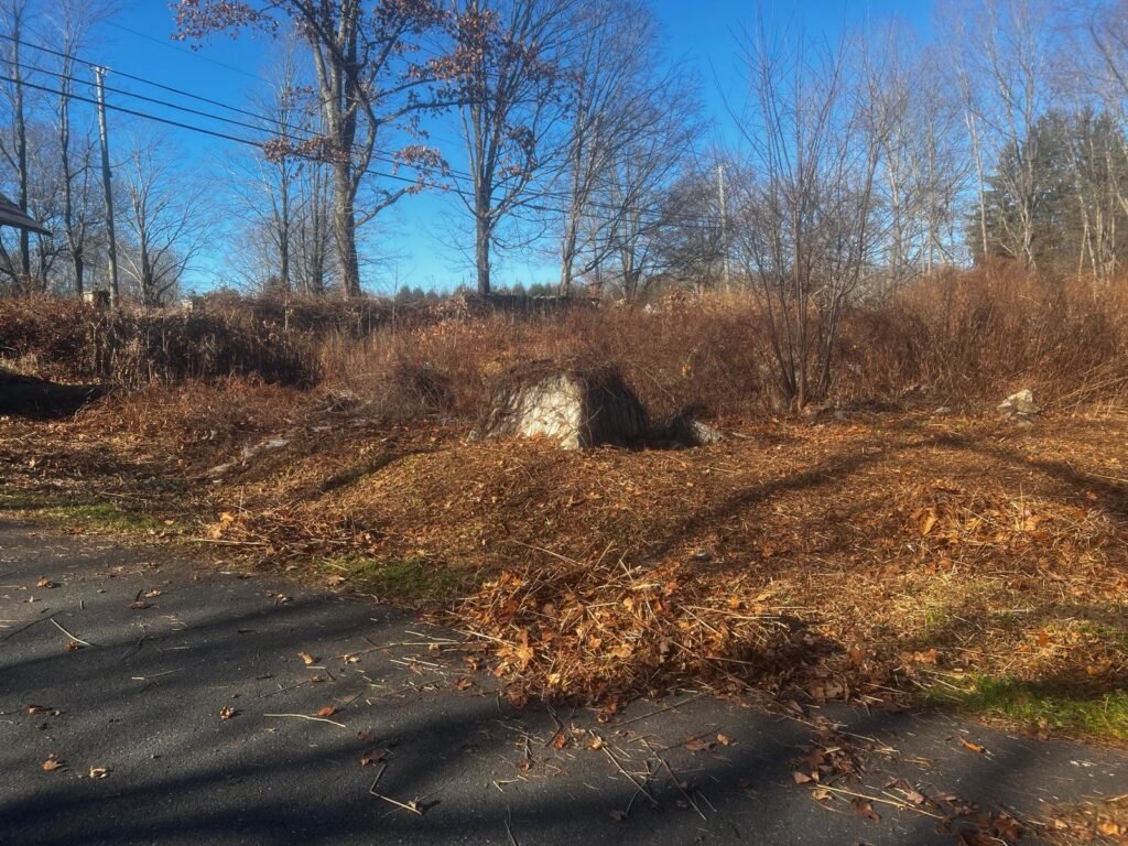 Fall cleanup service in Connecticut by M&G Landscaping & Lawn Care LLC, including leaf removal and seasonal yard cleanup.