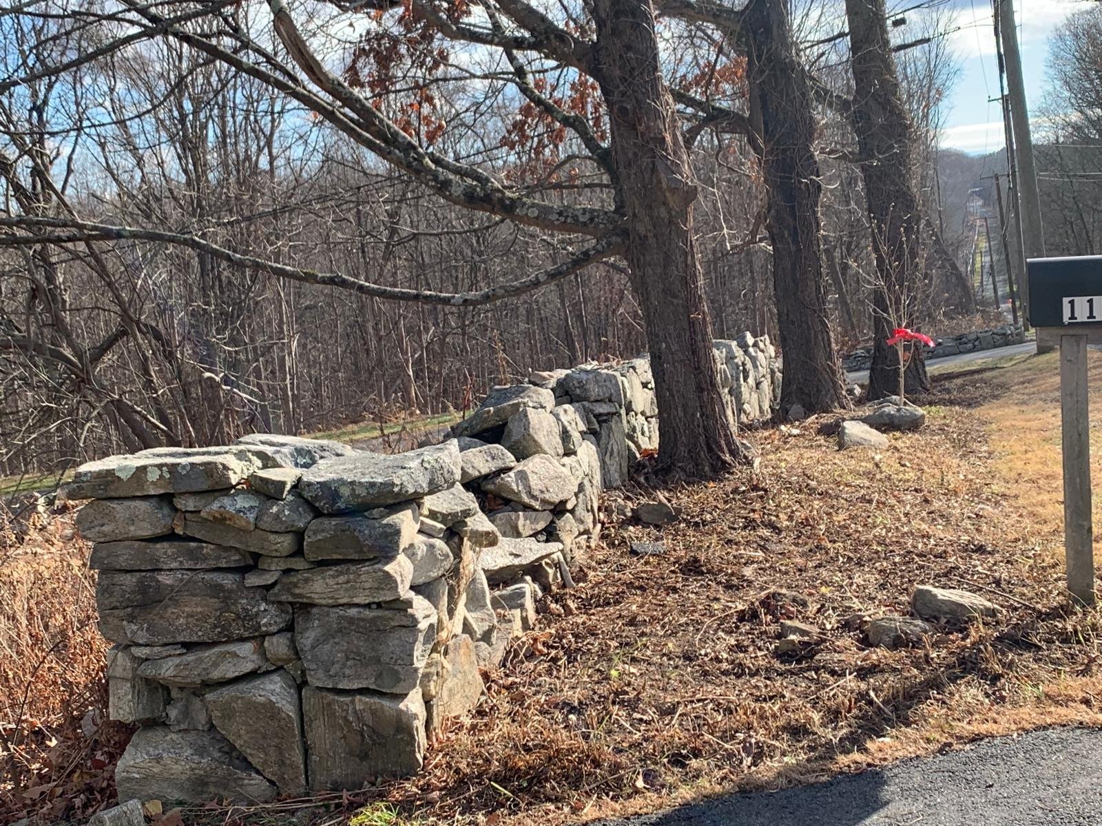 Fall cleanup service in Connecticut by M&G Landscaping & Lawn Care LLC, including leaf removal and seasonal yard cleanup.