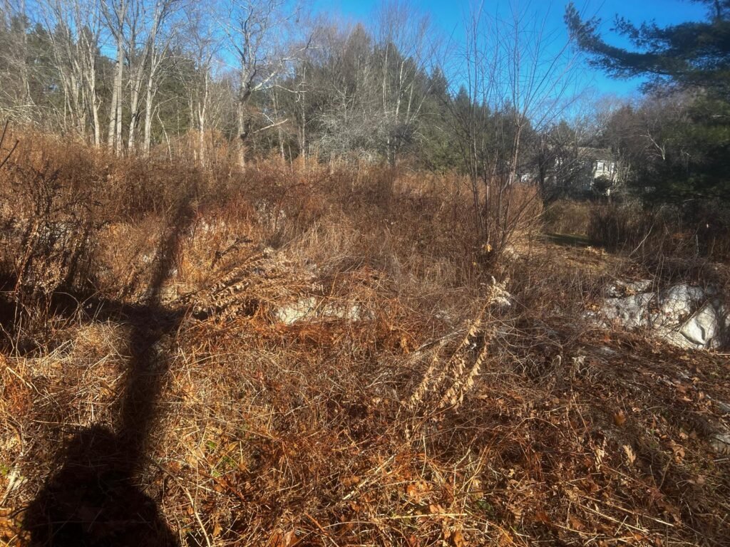 Fall cleanup service in Connecticut by M&G Landscaping & Lawn Care LLC, including leaf removal and seasonal yard cleanup.