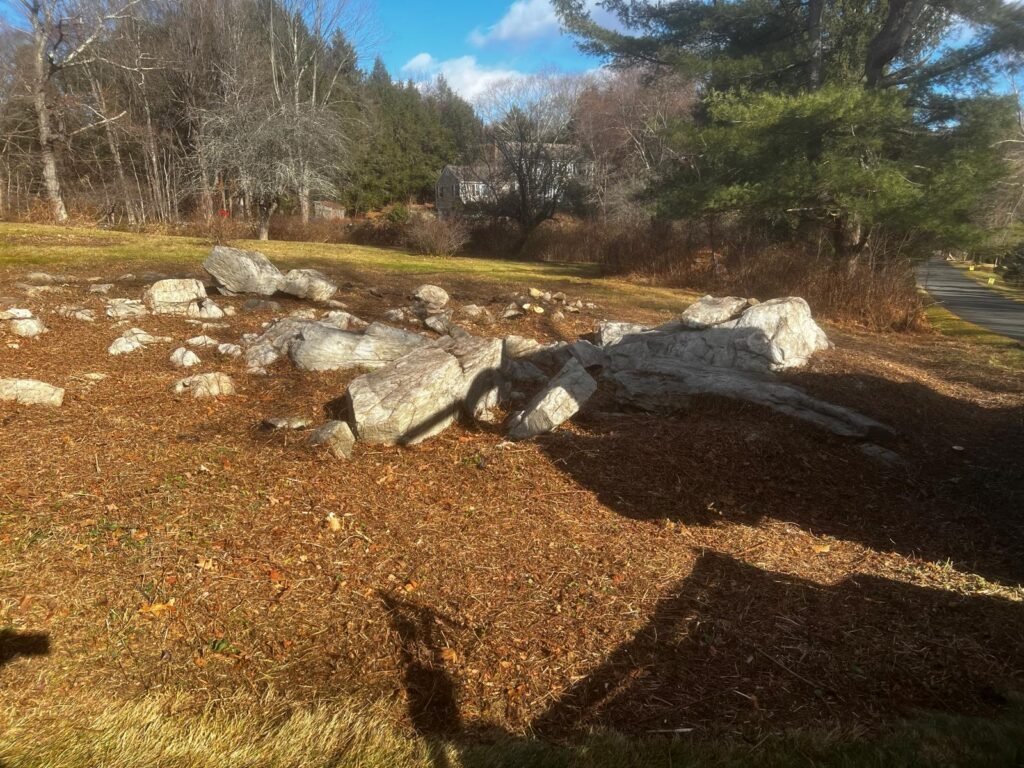 Fall cleanup service in Connecticut by M&G Landscaping & Lawn Care LLC, including leaf removal and seasonal yard cleanup.