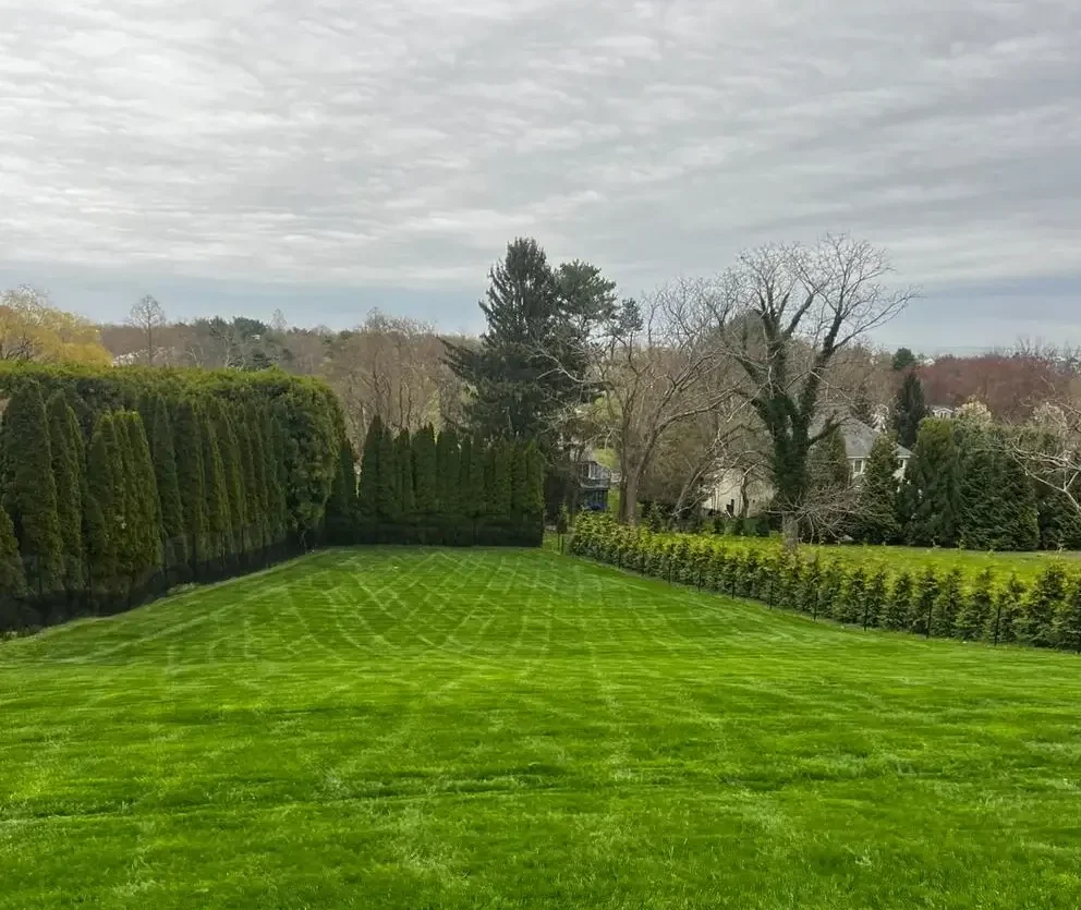 Large lawn care service with striped grass mowing and hedge-lined property in Connecticut.