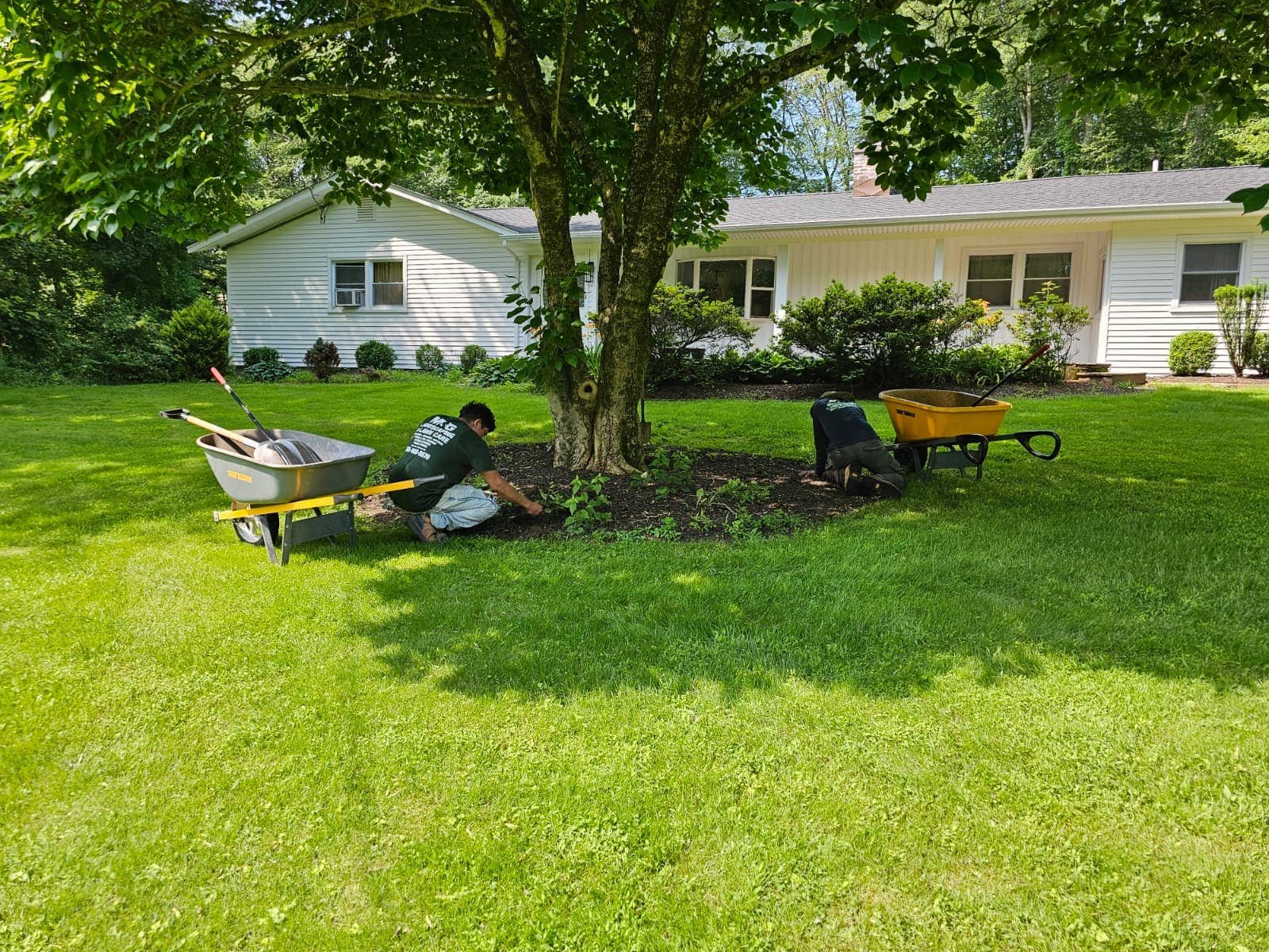 Residential mulching service applied around trees and garden beds to improve soil quality and landscape appearance.