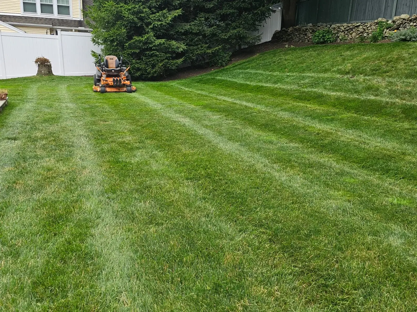Commercial lawn care service with freshly mowed grass and professional striping in Connecticut.