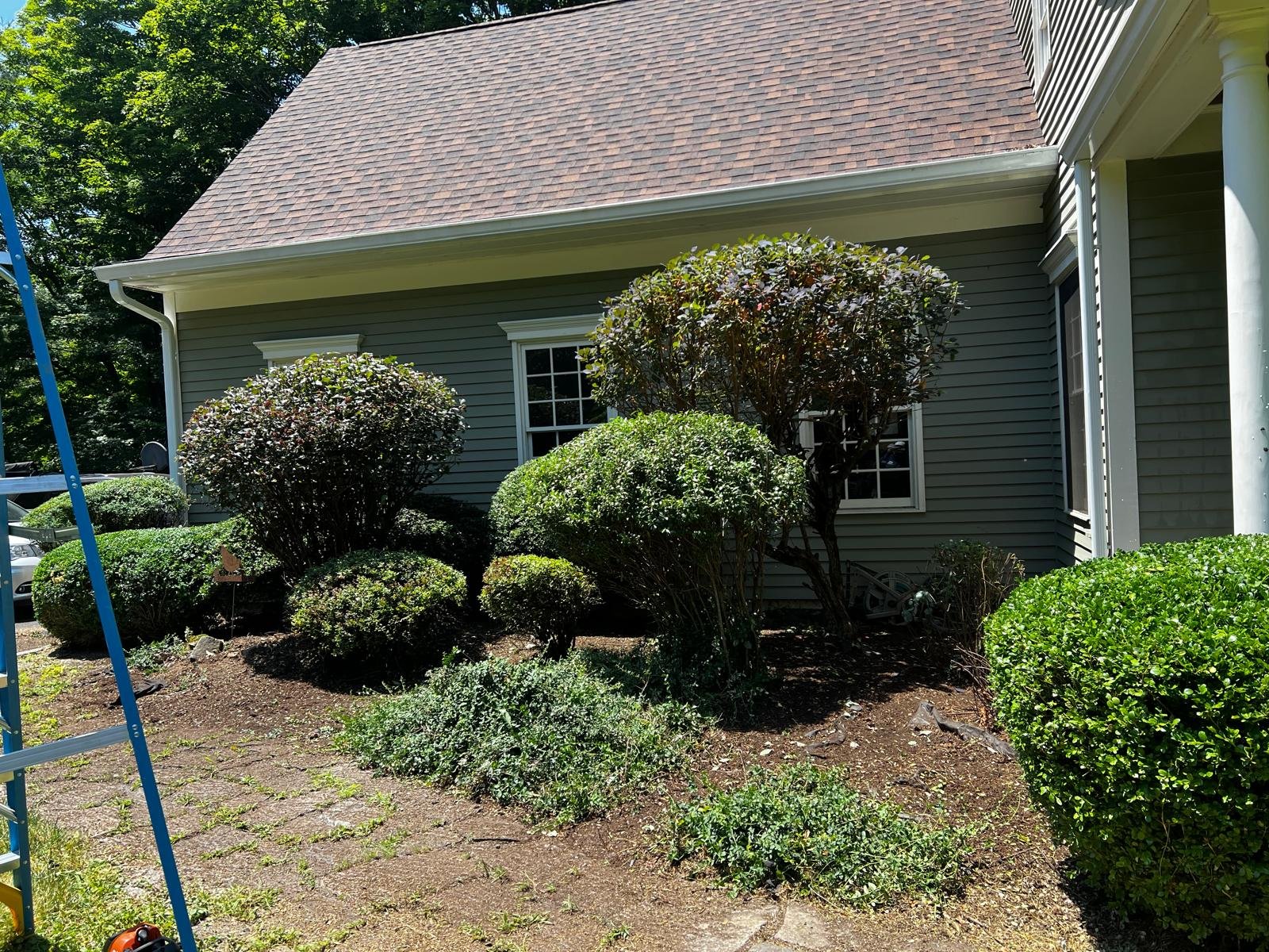 Tree and hedge trimming service by M&G Landscaping & Lawn Care LLC in Fairfield, CT